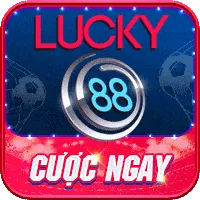 Biểu tượng quản lý tài khoản cá nhân và hỗ trợ ưu tiên